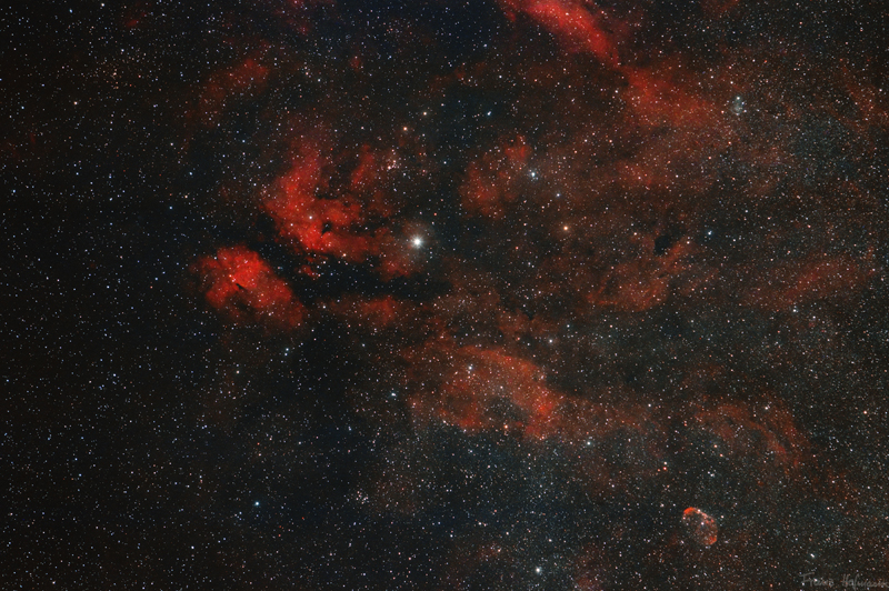 IC 1318