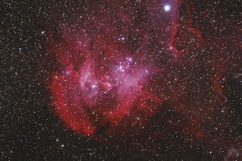 IC 2944