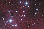 IC 2944