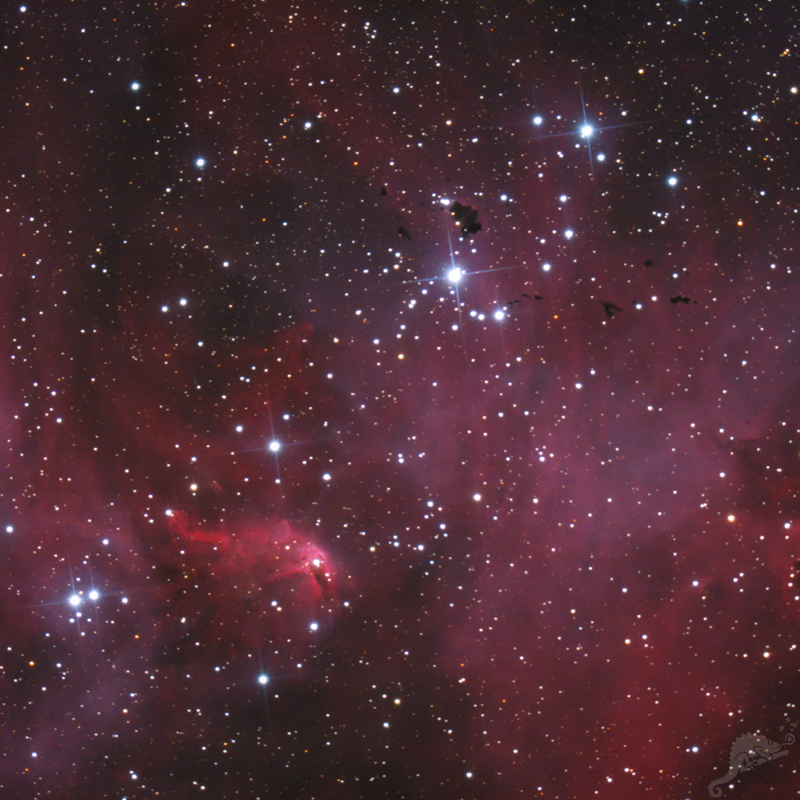 IC 2944