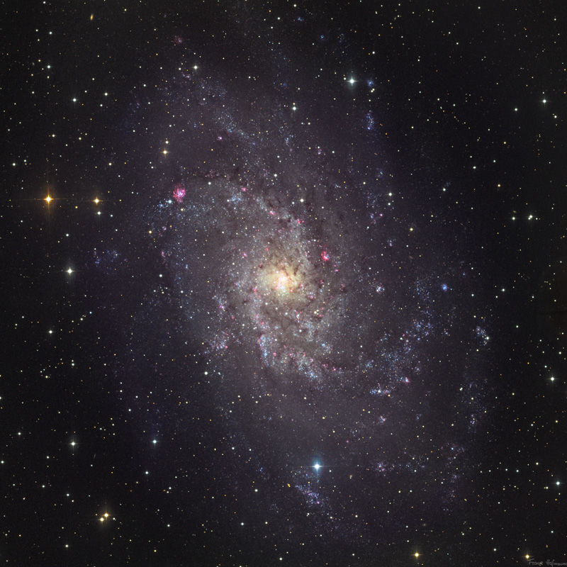 M 33