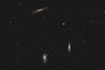 Leo Triplett