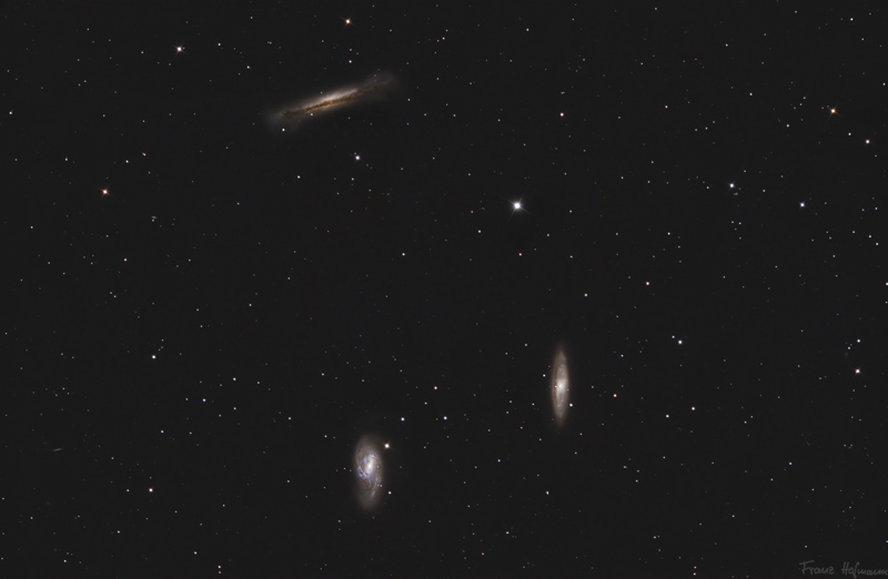 Leo Triplett