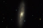 M 65