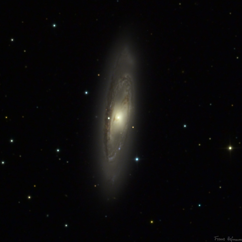 Leo Triplett