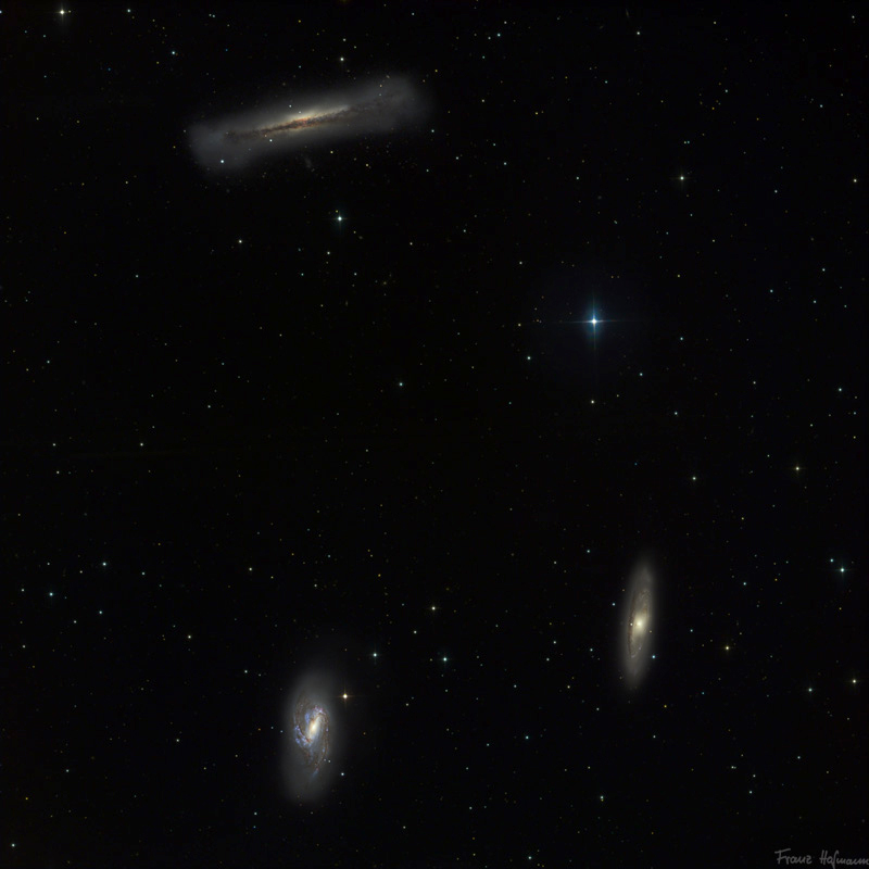 Leo Triplett