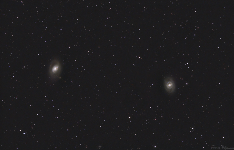 Leo Triplett