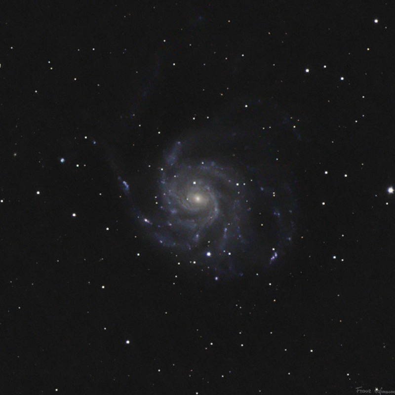 m101sn2011fe_hs