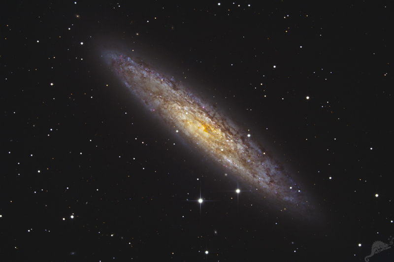 NGC 300