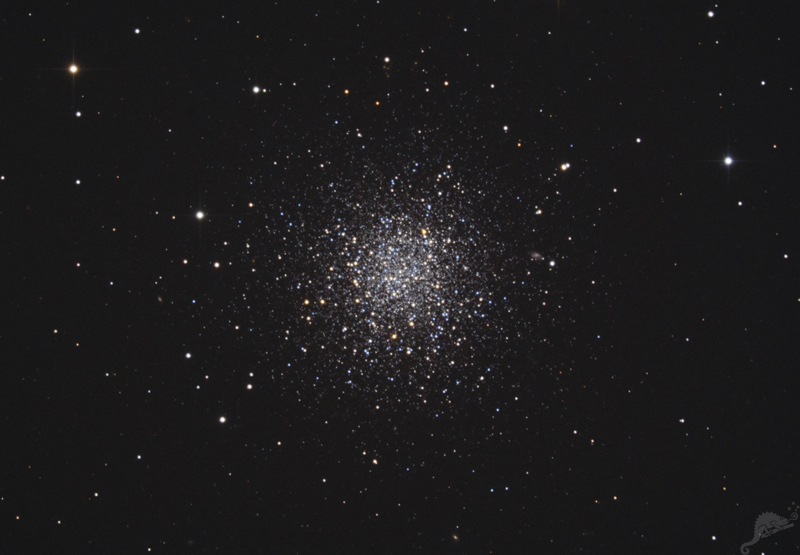 NGC 288