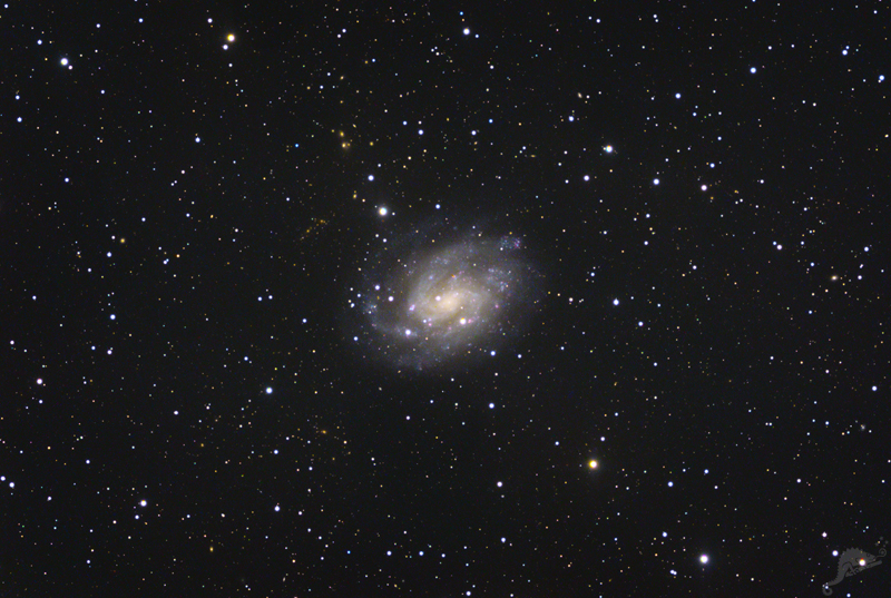 NGC 300