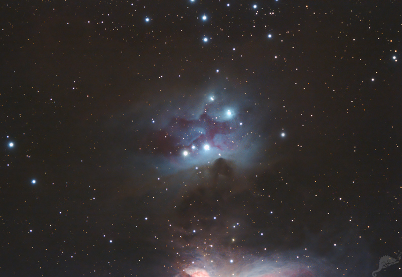 NGC 1977