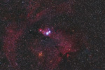 NGC 2264