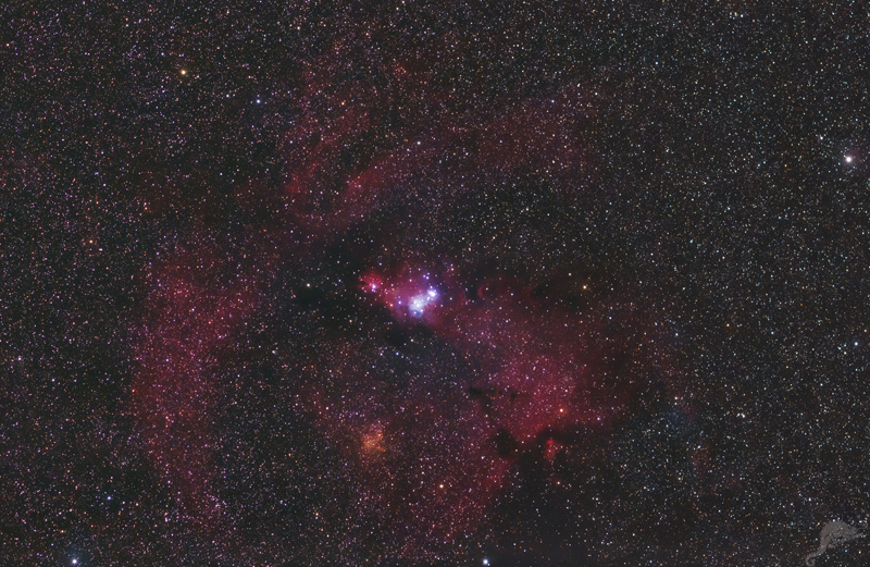 NGC 2264