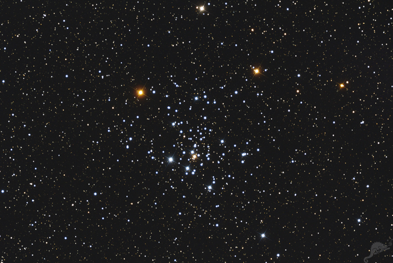 M 41