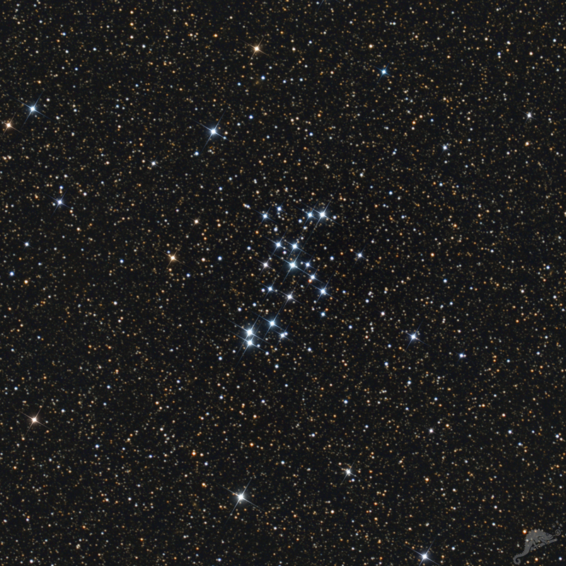 NGC 6025