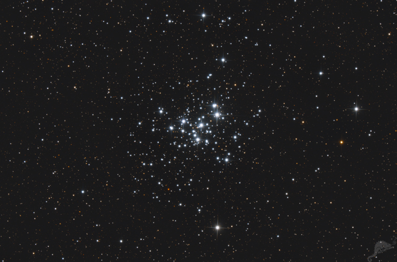 NGC 6231