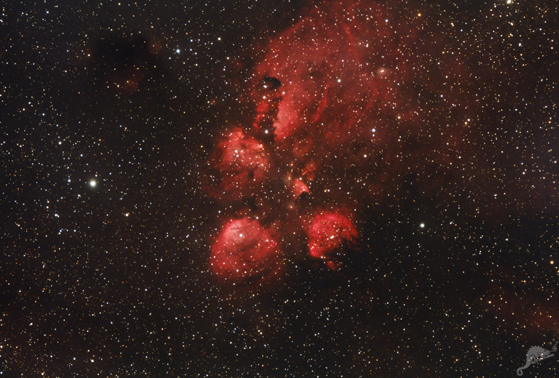 NGC 6334