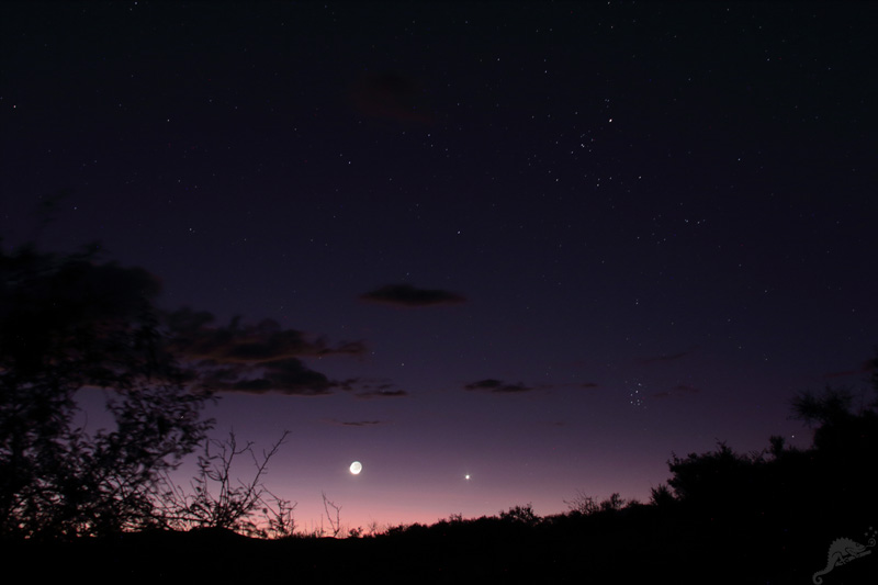 Mond und Venus