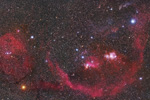 Orion