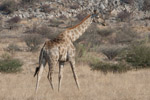 Namibia 2013