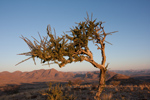 Namibia 2013